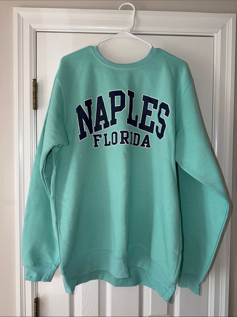 Naples Florida Mint Green Crewneck Sweatshirt